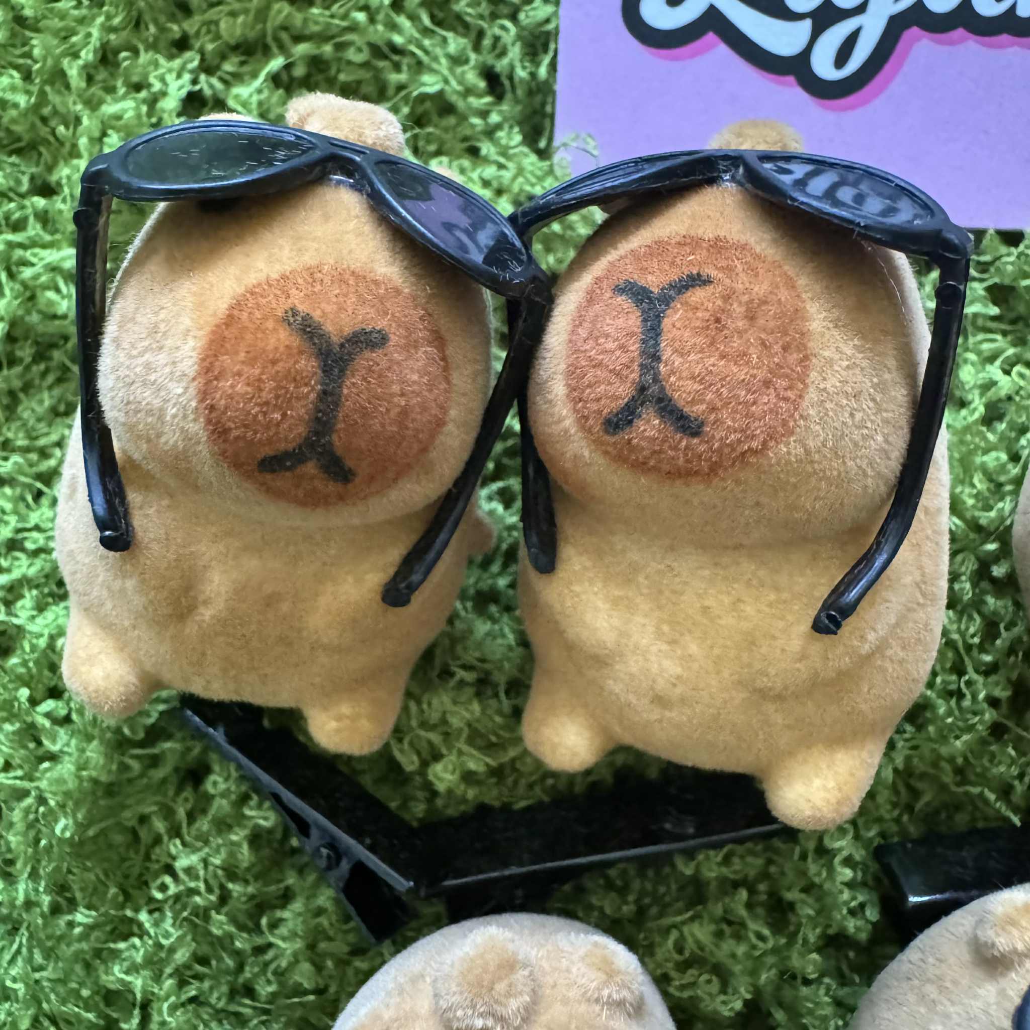Capybara Hairclips (Set of 6)