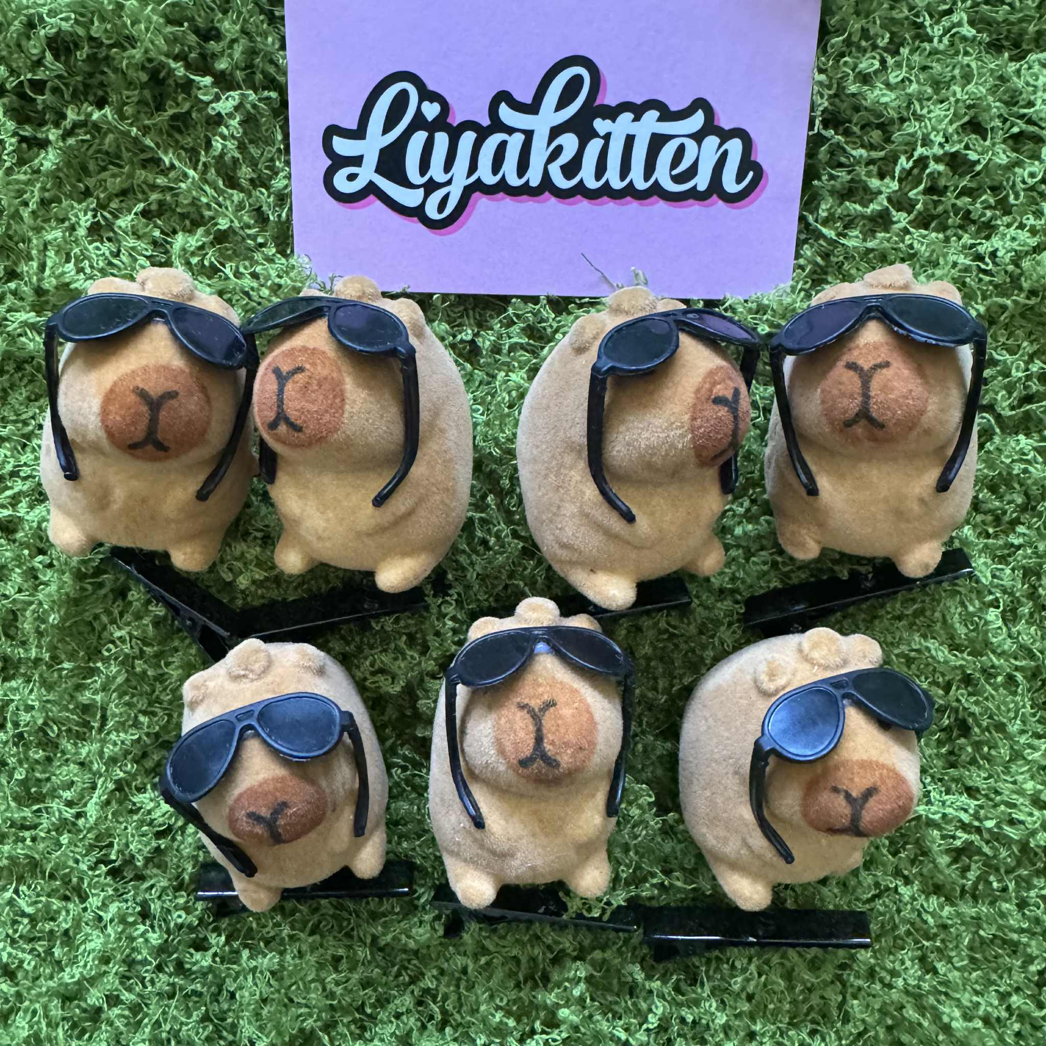 Capybara Hairclips (Set of 6)