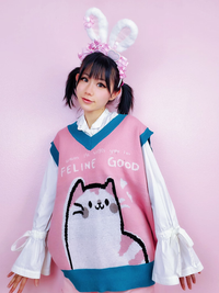 Pink Kitten Love Sleeveless Sweater Vest ( M - 2XL SIZE ) Plus Size