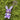 Large Kandi Keychain Necklace - Purple Rabbit
