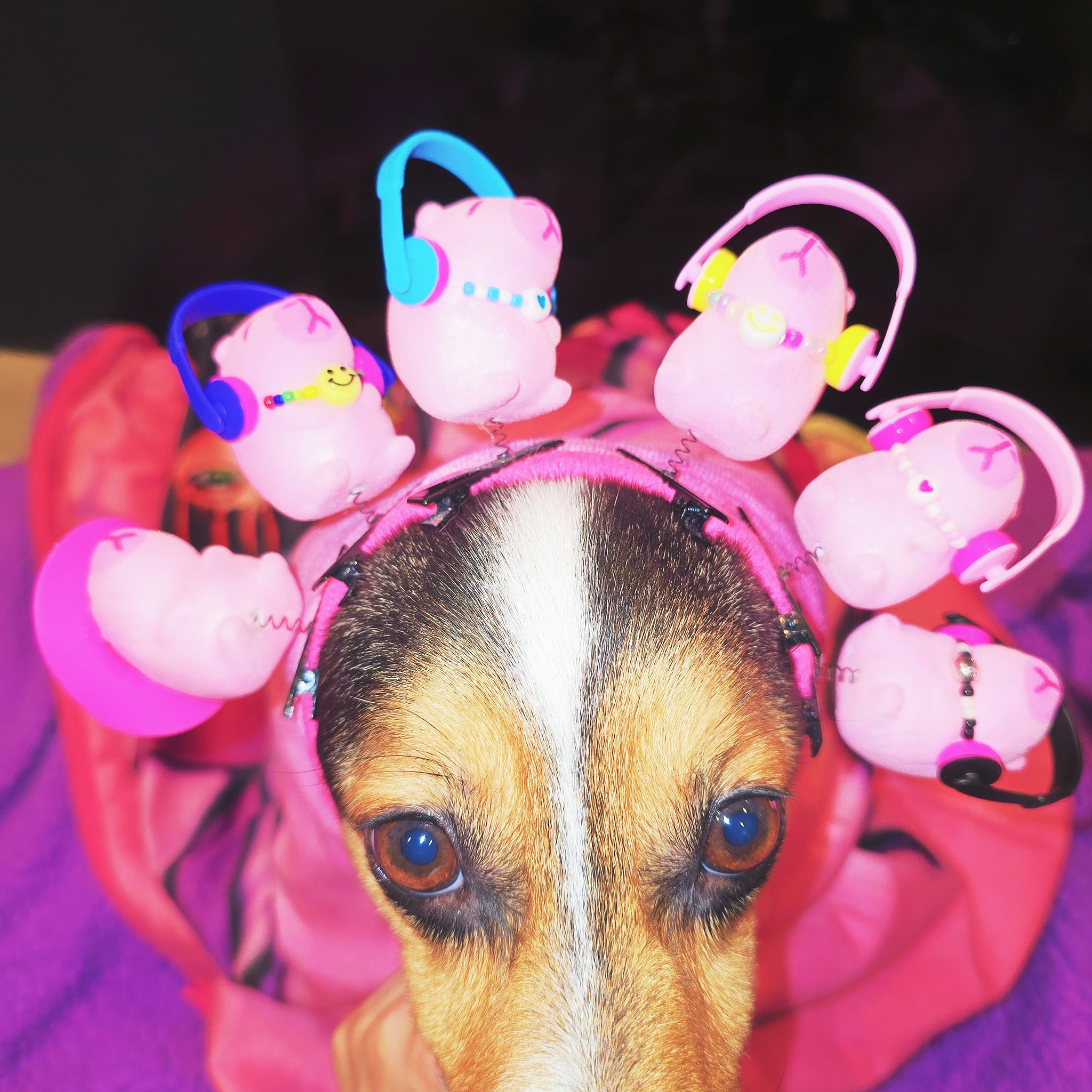 Pink Capybara Hairclips (Set of 6)